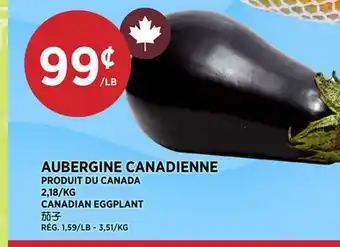 Kim Phat CANADIAN EGGPLANT offer