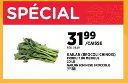 Kim Phat GAILON (CHINESE BROCCOLI) offer