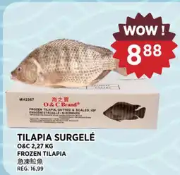 Kim Phat O&C FROZEN TILAPIA offer