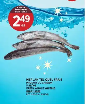 Kim Phat FRESH WHOLE WHITING offer