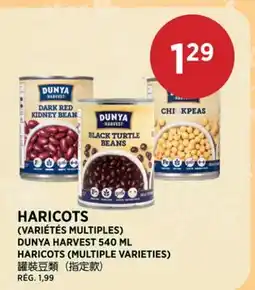 Kim Phat DUNYA HARVEST HARICOTS (MULTIPLE VARIETIES) offer