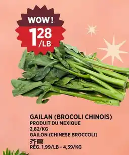 Kim Phat GAILON (CHINESE BROCCOLI) offer