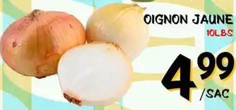 Marche Salaberry OIGNON JAUNE offer