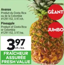 Giant Tiger Pineapple offer