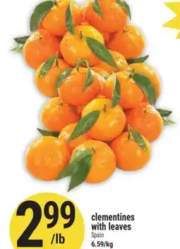 Marché Adonis Clementines with leaves offer