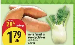 Marché Adonis Anise fennel or sweet potatoes offer