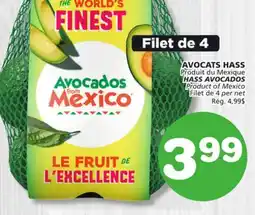 Marches Tradition HASS AVOCADOS offer