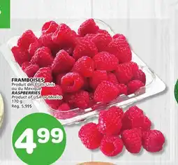 Marches Tradition RASPBERRIES offer