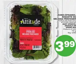 Marches Tradition ATTITUDE FRAÎCHE BABY SPINACH, ARUGULA OR SPRING MIX offer