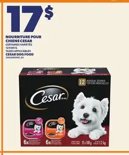 Provigo CESAR DOG FOOD offer