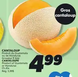 IGA CANTALOUPE offer