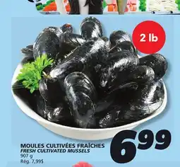 IGA FRESH CULTIVATED MUSSELS offer