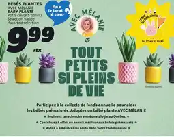 IGA AVEC MÉLANIE BABY PLANTS offer