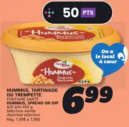 IGA FONTAINE SANTÉ HUMMUS, SPREAD OR DIP offer