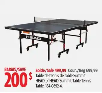 Canadian Tire HEAD Summit Table Tennis Table offer