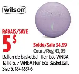 Canadian Tire Wilson WNBA Heir Eco Basketball offer