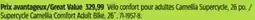 Canadian Tire Supercycle Camellia Comfort Adult Bike, 26˝ offer