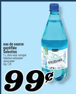 Marché Richelieu EAU DE SOURCE GAZÉIFIÉE SELECTION | SELECTION CARBONATED SPRING WATER offer