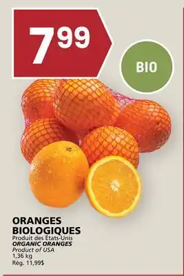 Rachelle-Bery Grocery ORGANIC ORANGES offer