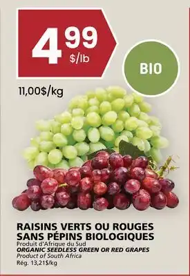 Rachelle-Bery Grocery ORGANIC SEEDLESS GREEN OR RED GRAPES offer