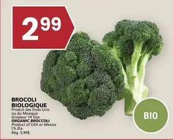 Rachelle-Bery Grocery ORGANIC BROCCOLI offer