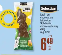 Jean Coutu SELECTION Solid milk chocolate bunny offer