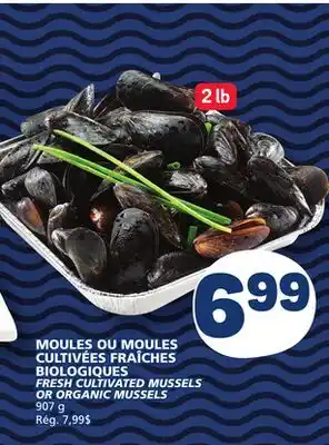 Marché Bonichoix FRESH CULTIVATED MUSSELS OR ORGANIC MUSSELS offer