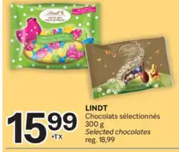 Brunet LINDT Chocolats sélectionnés offer
