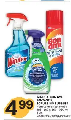 Brunet WINDEX, BON AMI, FANTASTIK, SCRUBBING BUBBLES Nettoyants sélectionnés offer