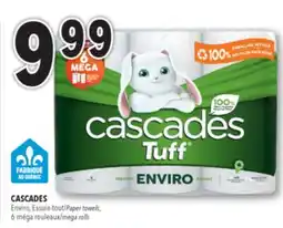 Familiprix CASCADES Paper towels, 6 mega rolls offer