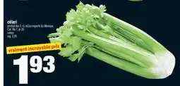 Super C céleri | celery offer