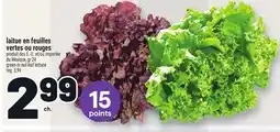 Metro LAITUE EN FEUILLES VERTES OU ROUGES | GREEN OR RED LEAF LETTUCE offer