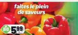 Metro POIVRONS ROUGES, ORANGE OU JAUNES DE SERRE | HOTHOUSE RED, ORANGE OR YELLOW PEPPERS offer