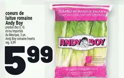 Metro COEURS DE LAITUE ROMAINE ANDY BOY | ANDY BOY ROMAINE HEARTS offer