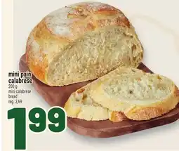 Metro MINI PAIN CALABRESE offer