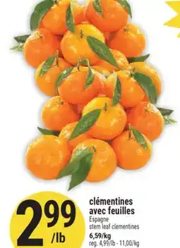 Marché Adonis CLÉMENTINES AVEC FEUILLES | ESPAGNE STEM LEAF CLEMENTINES offer
