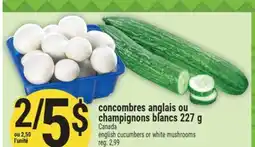 Marché Adonis CONCOMBRES ANGLAIS OU CHAMPIGNONS BLANCS | ENGLISH CUCUMBERS OR WHITE MUSHROOMS offer