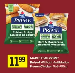 Foodland MAPLE LEAF PRIME Raised Without Antibiotics Frozen Chicken offer