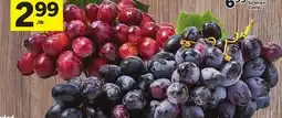 Foodland Extra Large Red or Black Seedless Grapes offer