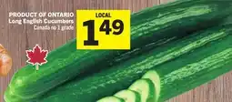 Foodland Long English Cucumbers offer
