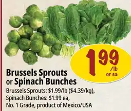 Farm Boy Brussels Sprouts or Spinach Bunches offer