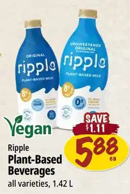 Farm Boy Ripple Plant-Based Beverages offer