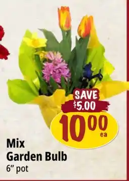 Farm Boy Mix Garden Bulb offer