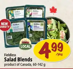 Farm Boy Fieldless Salad Blends offer