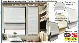 Sushi Shop Cordless Blackout Roman Shade Blind offer