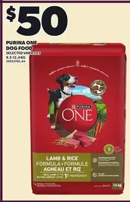 Loblaws PURINA ONE DOG FOOD offer