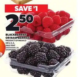 Loblaws BLACKBERRIES OR RASPBERRIES, HALF PINT offer