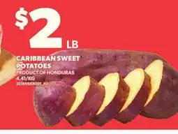 Loblaws CARIBBEAN SWEET POTATOES offer