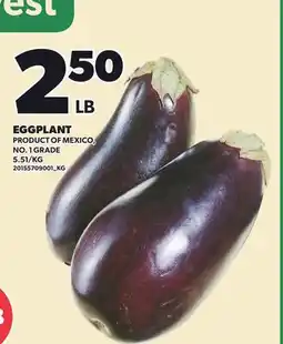 Loblaws EGGPLANT offer