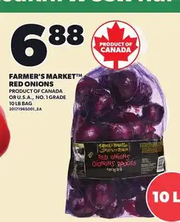 Loblaws FARMER'S MARKET RED ONIONS, 10 LB BAG offer